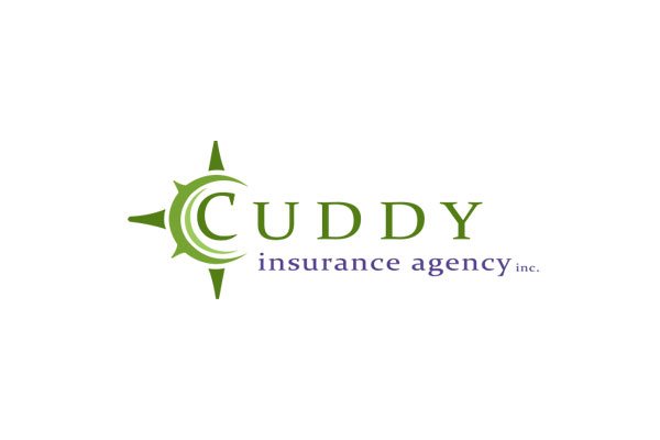 Cuddy Insurance Agency Inc Logo