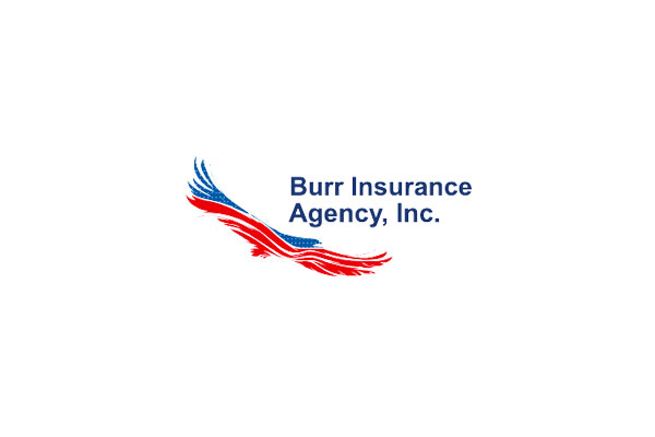 Burr Insurance Agency Inc Logo Updated