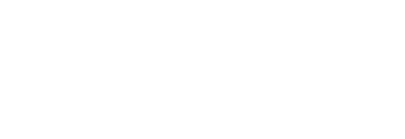 ISNE logo light